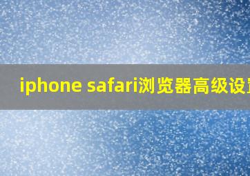 iphone safari浏览器高级设置